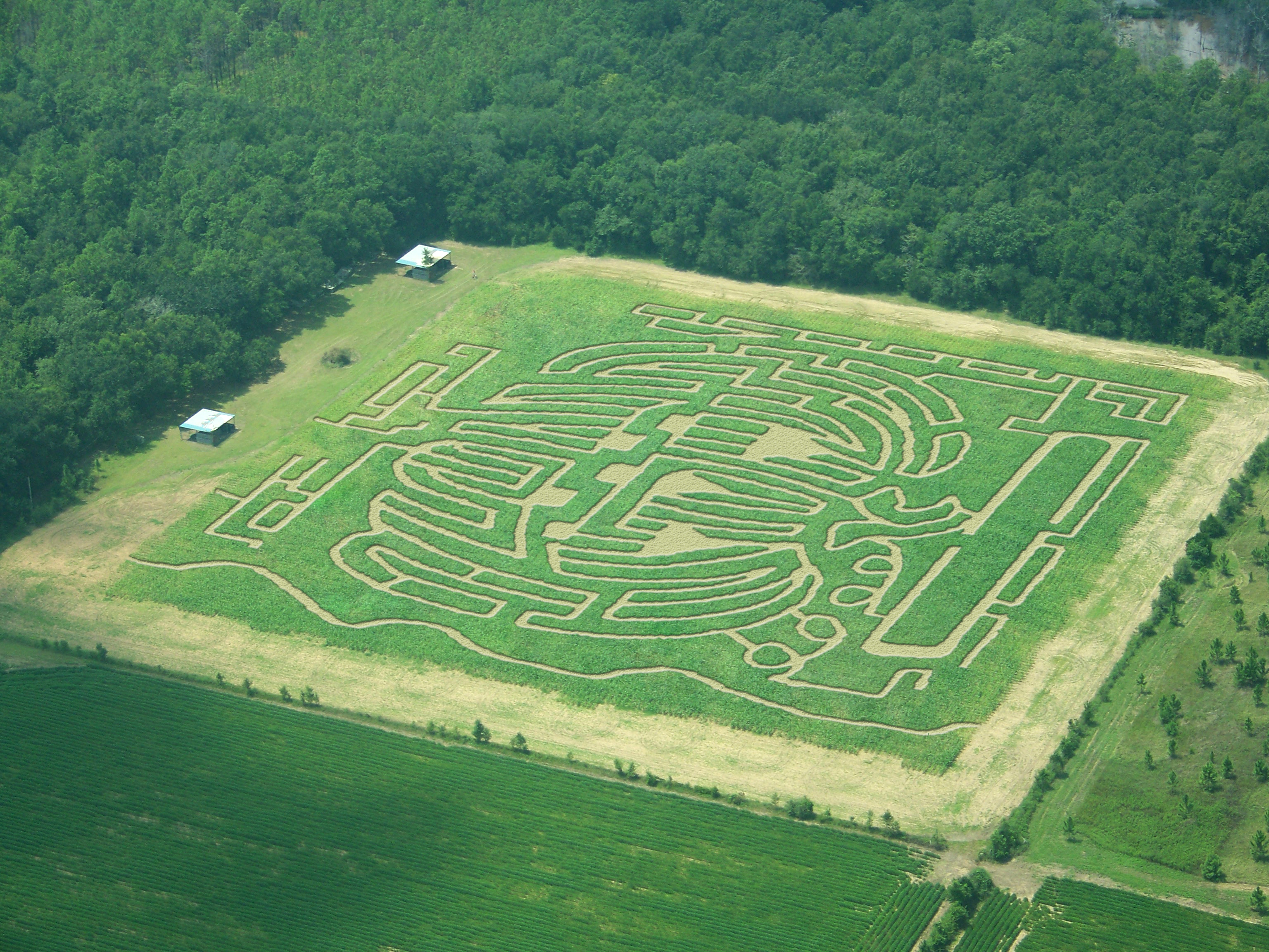 Magnolia Corn Maze Alabama